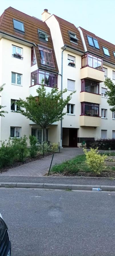 Appartement Le Duplex inversé à Strasbourg Extérieur photo